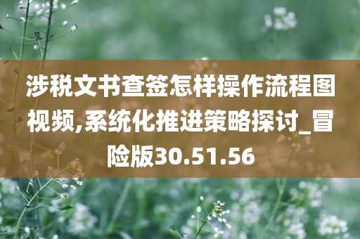 涉税文书查签怎样操作流程图视频,系统化推进策略探讨_冒险版30.51.56