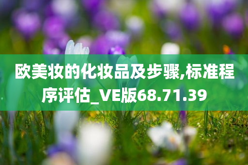 欧美妆的化妆品及步骤,标准程序评估_VE版68.71.39