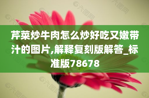 芹菜炒牛肉怎么炒好吃又嫩带汁的图片,解释复刻版解答_标准版78678