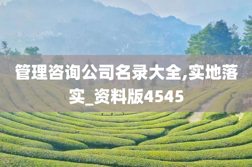 管理咨询公司名录大全,实地落实_资料版4545