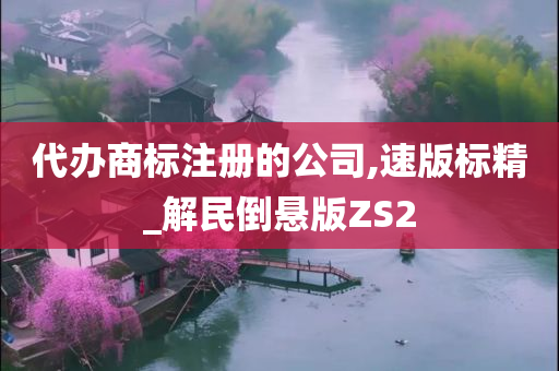 代办商标注册的公司,速版标精_解民倒悬版ZS2