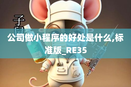 公司做小程序的好处是什么,标准版_RE35