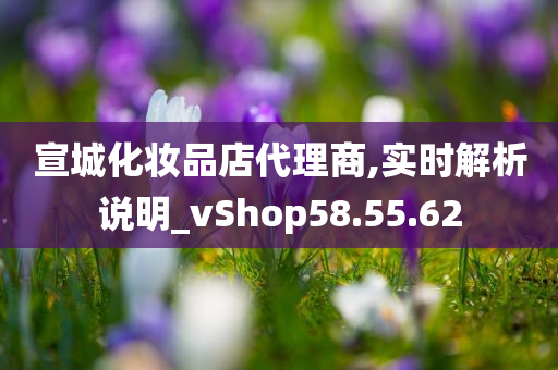 宣城化妆品店代理商,实时解析说明_vShop58.55.62