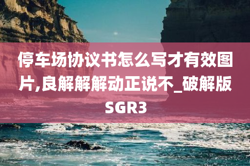 停车场协议书怎么写才有效图片,良解解解动正说不_破解版SGR3