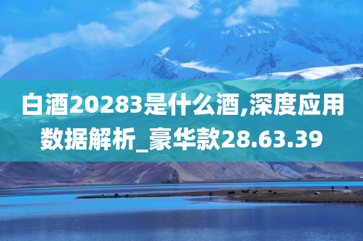 白酒20283是什么酒,深度应用数据解析_豪华款28.63.39