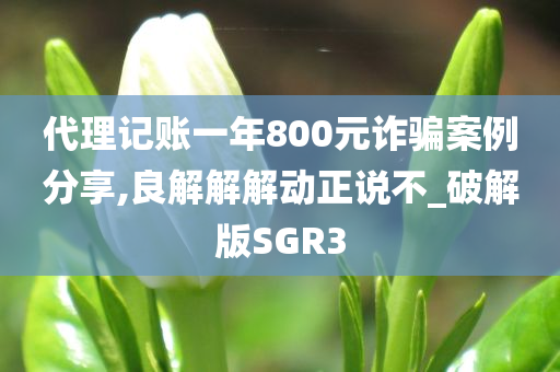 代理记账一年800元诈骗案例分享,良解解解动正说不_破解版SGR3