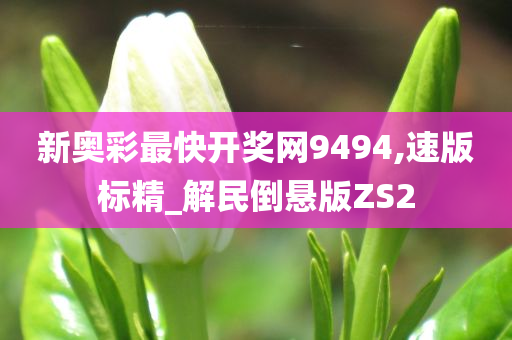 新奥彩最快开奖网9494,速版标精_解民倒悬版ZS2