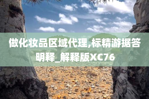 做化妆品区域代理,标精游据答明释_解释版XC76