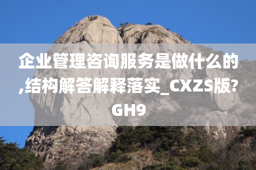 企业管理咨询服务是做什么的,结构解答解释落实_CXZS版?GH9