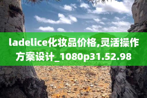 ladelice化妆品价格,灵活操作方案设计_1080p31.52.98