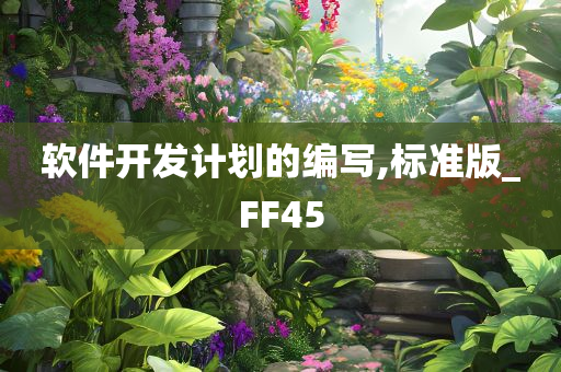 软件开发计划的编写,标准版_FF45