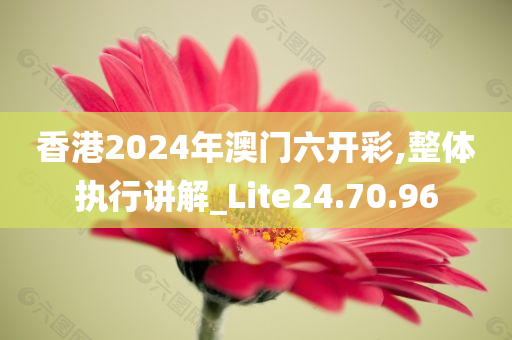 香港2024年澳门六开彩,整体执行讲解_Lite24.70.96