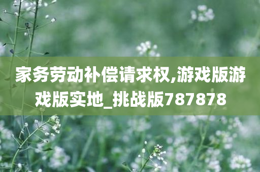 家务劳动补偿请求权,游戏版游戏版实地_挑战版787878