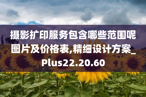 摄影扩印服务包含哪些范围呢图片及价格表,精细设计方案_Plus22.20.60