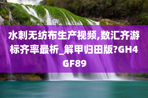 水刺无纺布生产视频,数汇齐游标齐率最析_解甲归田版?GH4GF89