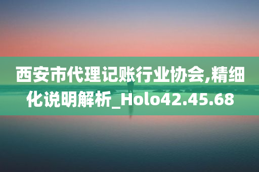 西安市代理记账行业协会,精细化说明解析_Holo42.45.68