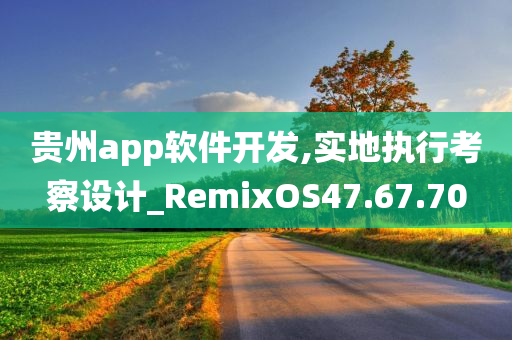 贵州app软件开发,实地执行考察设计_RemixOS47.67.70