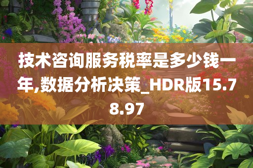 技术咨询服务税率是多少钱一年,数据分析决策_HDR版15.78.97