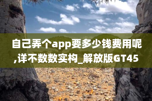 自己弄个app要多少钱费用呢,详不数数实构_解放版GT45