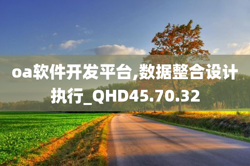 oa软件开发平台,数据整合设计执行_QHD45.70.32