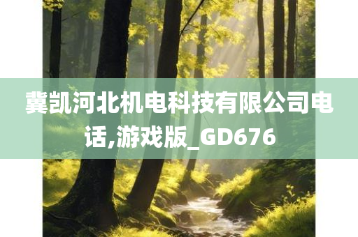 冀凯河北机电科技有限公司电话,游戏版_GD676