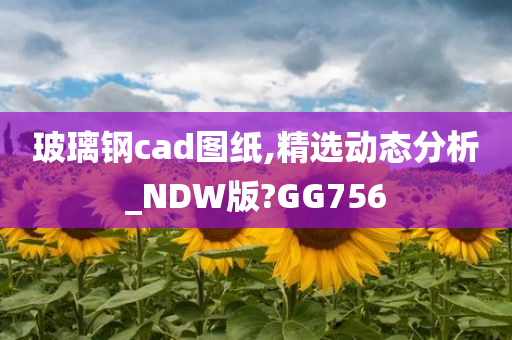 玻璃钢cad图纸,精选动态分析_NDW版?GG756