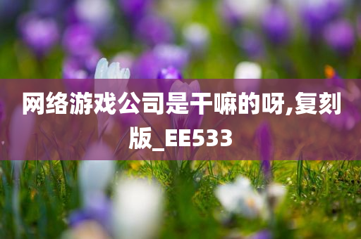 网络游戏公司是干嘛的呀,复刻版_EE533