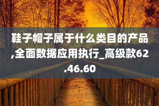 鞋子帽子属于什么类目的产品,全面数据应用执行_高级款62.46.60