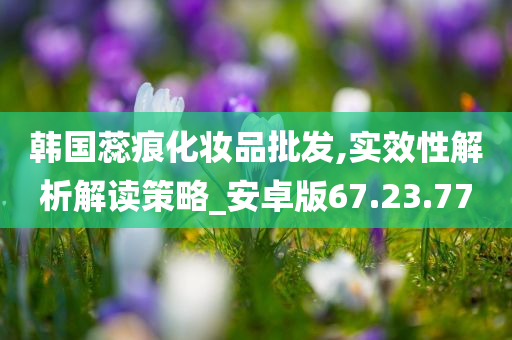 韩国蕊痕化妆品批发,实效性解析解读策略_安卓版67.23.77