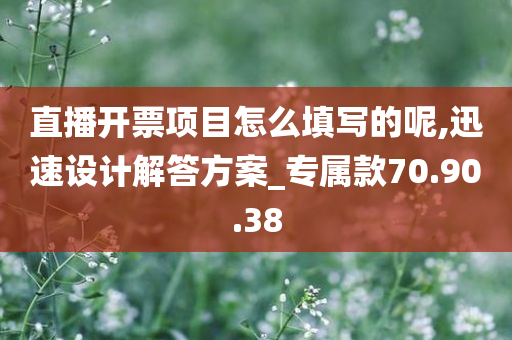 直播开票项目怎么填写的呢,迅速设计解答方案_专属款70.90.38