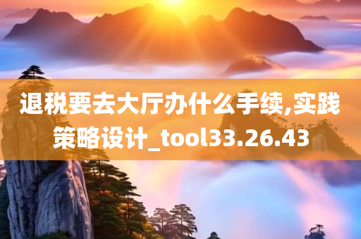 退税要去大厅办什么手续,实践策略设计_tool33.26.43