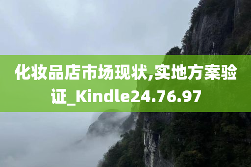 化妆品店市场现状,实地方案验证_Kindle24.76.97