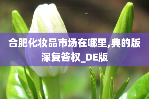 合肥化妆品市场在哪里,典的版深复答权_DE版