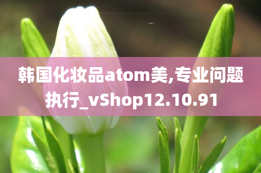 韩国化妆品atom美,专业问题执行_vShop12.10.91