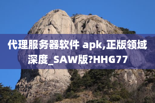 代理服务器软件 apk,正版领域深度_SAW版?HHG77