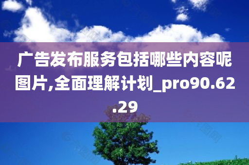 广告发布服务包括哪些内容呢图片,全面理解计划_pro90.62.29