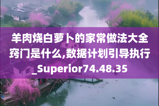 羊肉烧白萝卜的家常做法大全窍门是什么,数据计划引导执行_Superior74.48.35