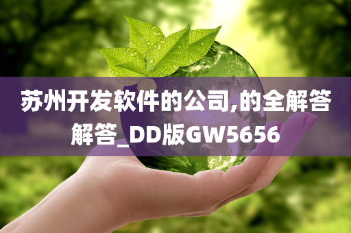 苏州开发软件的公司,的全解答解答_DD版GW5656