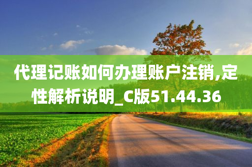 代理记账如何办理账户注销,定性解析说明_C版51.44.36