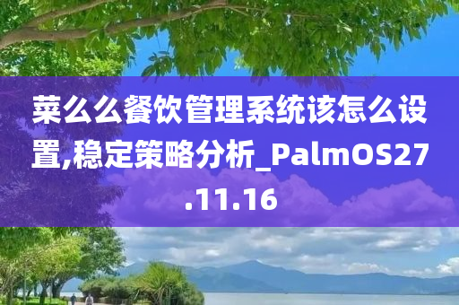 菜么么餐饮管理系统该怎么设置,稳定策略分析_PalmOS27.11.16