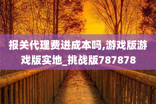 报关代理费进成本吗,游戏版游戏版实地_挑战版787878