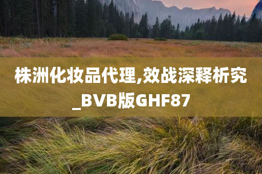 株洲化妆品代理,效战深释析究_BVB版GHF87