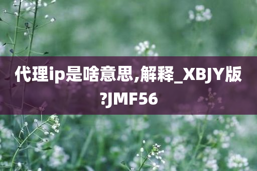 代理ip是啥意思,解释_XBJY版?JMF56