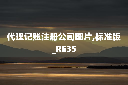 代理记账注册公司图片,标准版_RE35