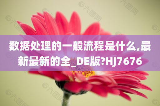 数据处理的一般流程是什么,最新最新的全_DE版?HJ7676