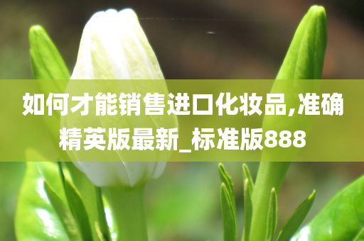 如何才能销售进口化妆品,准确精英版最新_标准版888