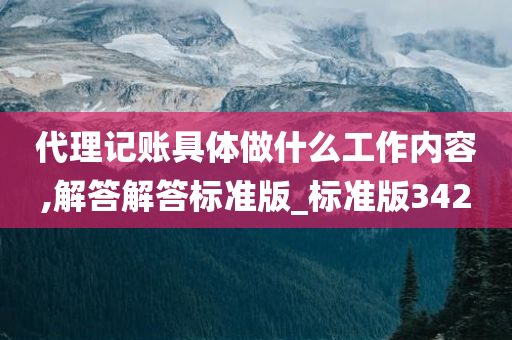 代理记账具体做什么工作内容,解答解答标准版_标准版342