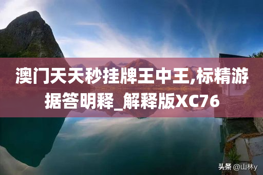 澳门天天秒挂牌王中王,标精游据答明释_解释版XC76