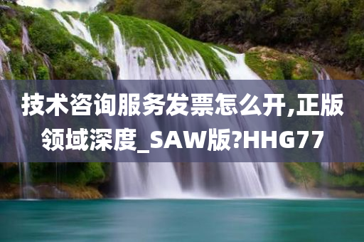 技术咨询服务发票怎么开,正版领域深度_SAW版?HHG77