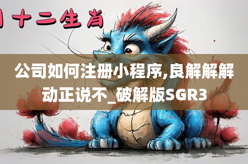 公司如何注册小程序,良解解解动正说不_破解版SGR3